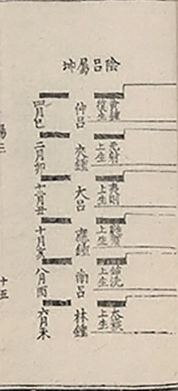 插图
