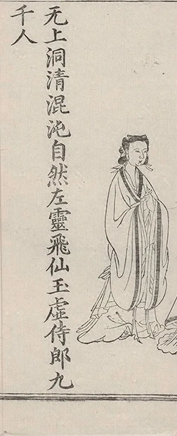 插图