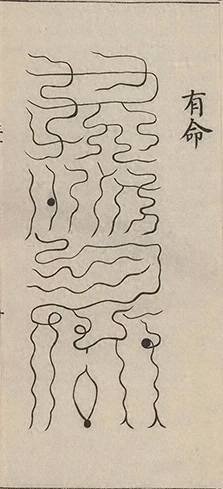 插图