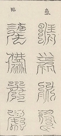插图