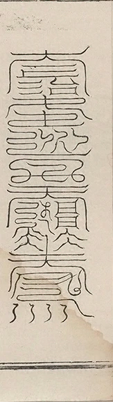 插图