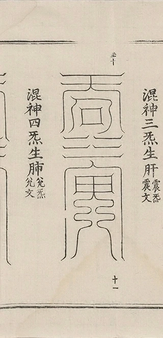 插图