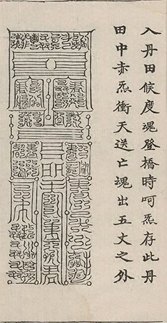插图