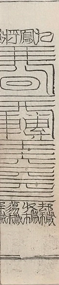 插图