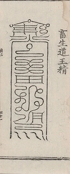 插图