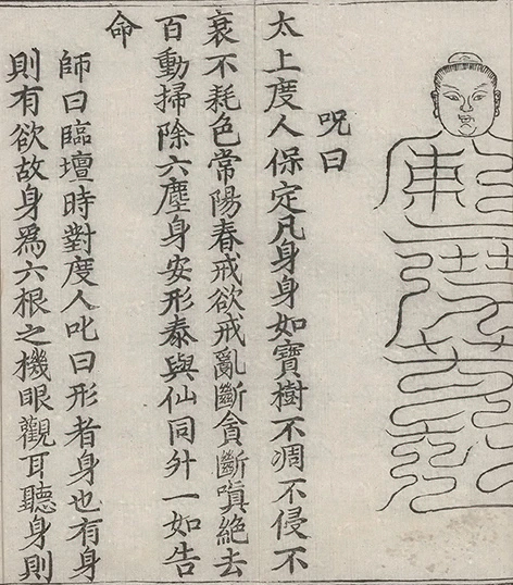 插图