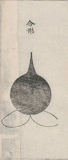 插图