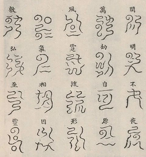 插图