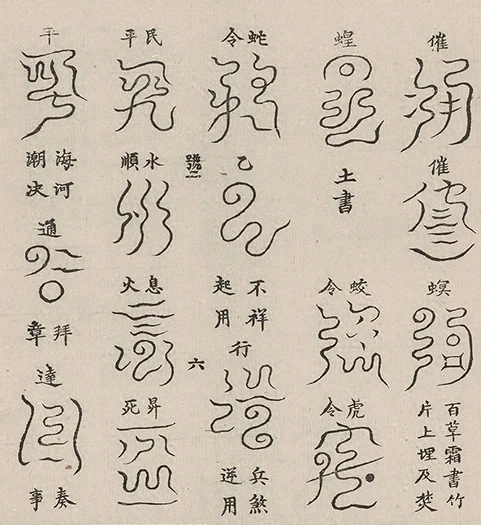 插图
