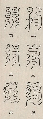 插图