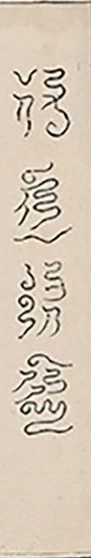 插图