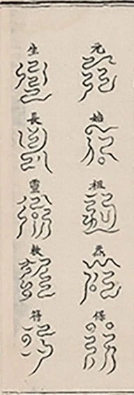插图