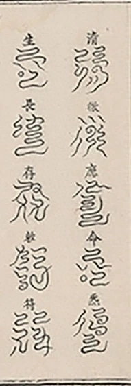 插图