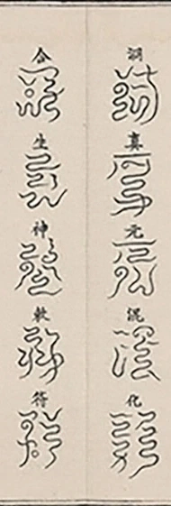 插图
