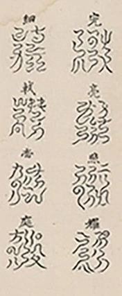 插图