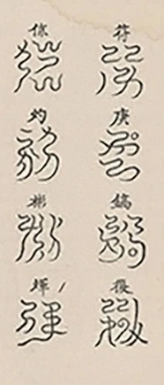 插图