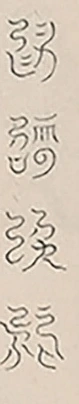 插图