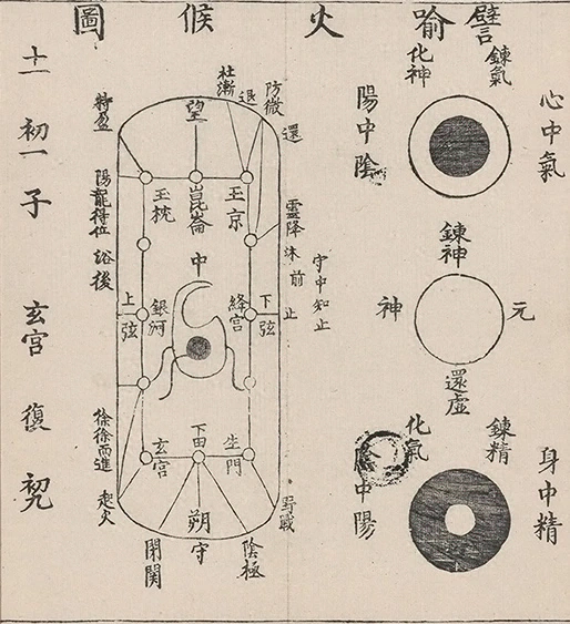 插图