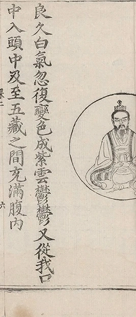 插图
