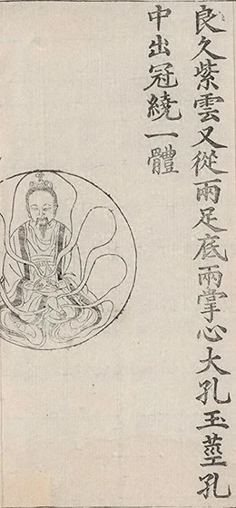 插图