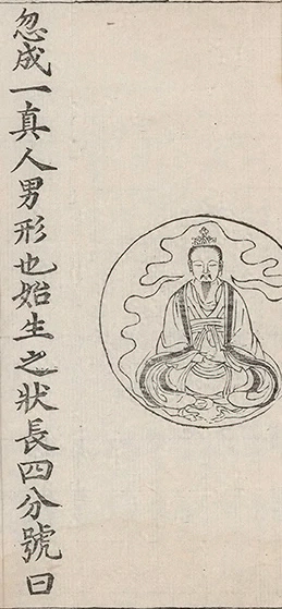 插图