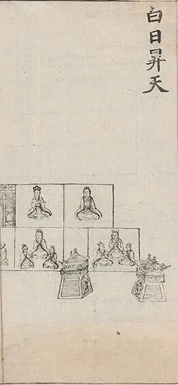 插图