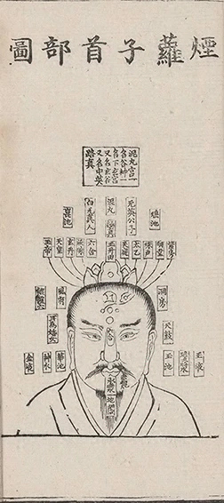 插图