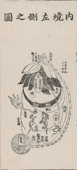 插图