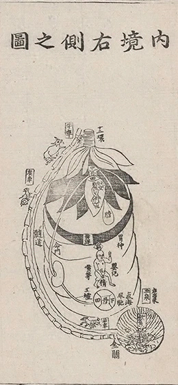 插图