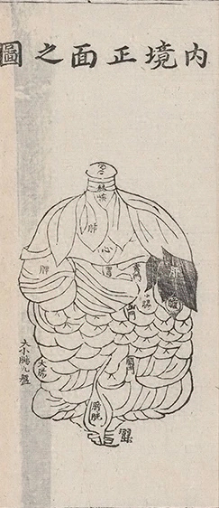 插图