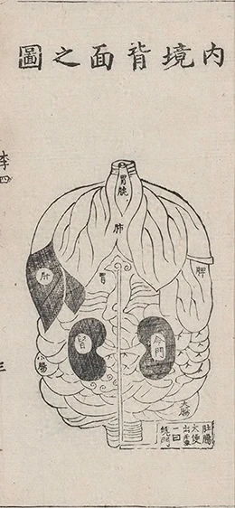 插图