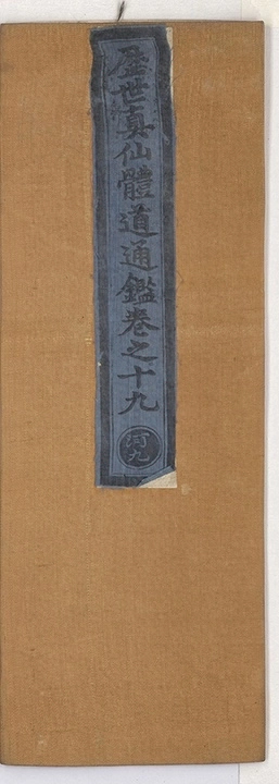 p. 1206