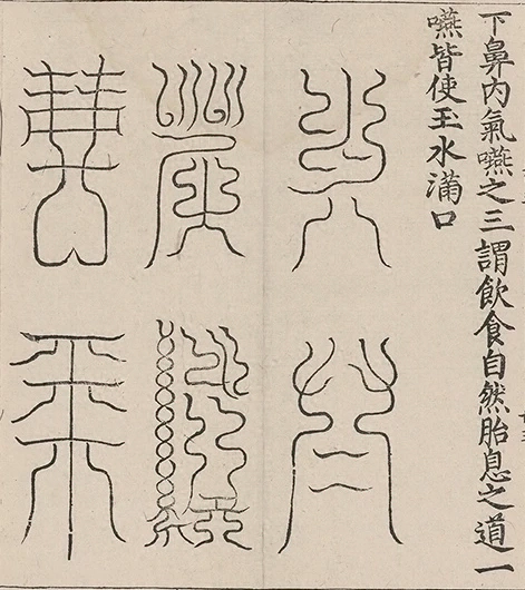 插图