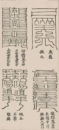 插图