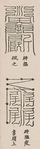 插图