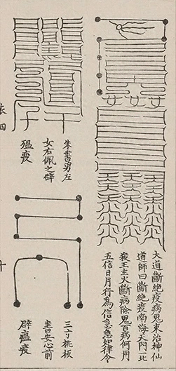 插图