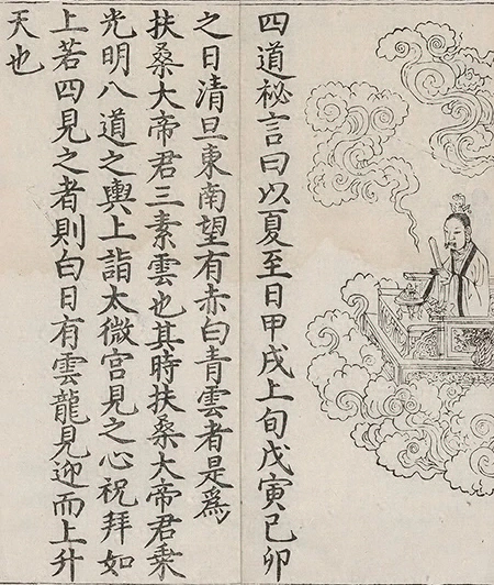 插图