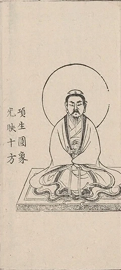插图