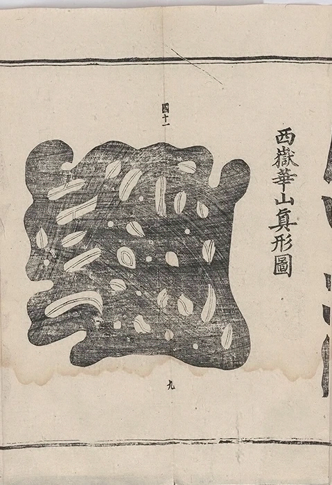 插图