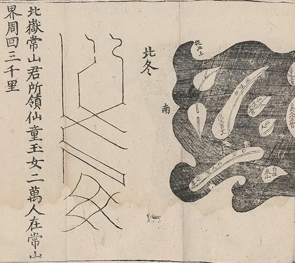 插图