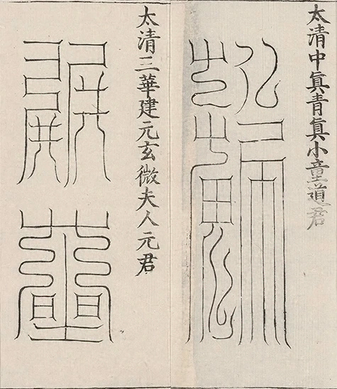插图