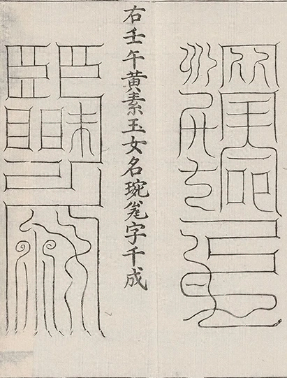 插图