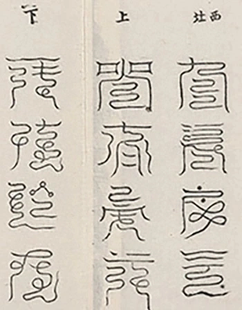 插图