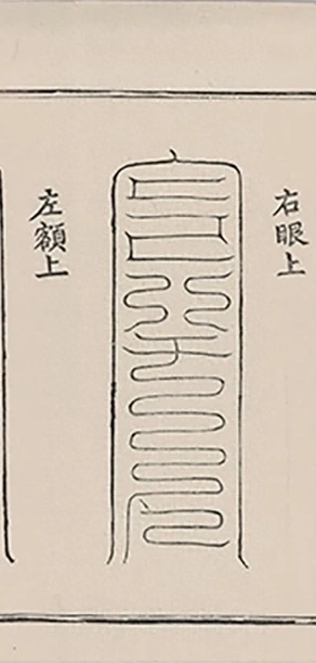 插图