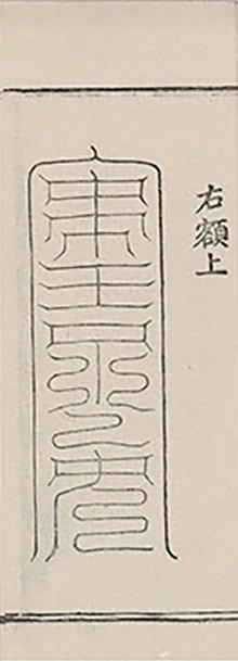 插图
