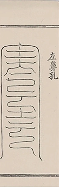 插图