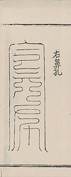 插图
