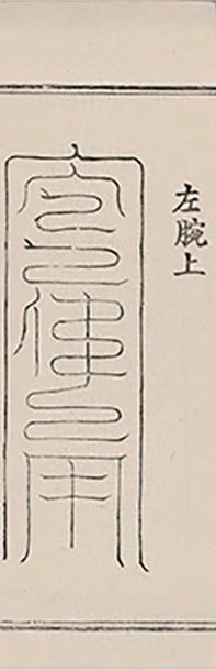 插图