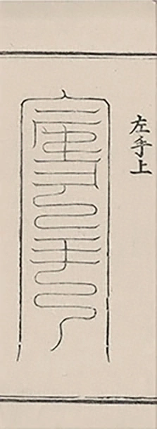 插图