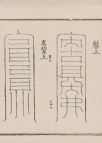 插图